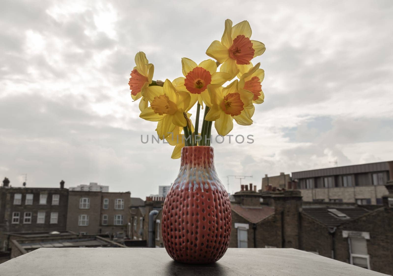 Bunch of daffodils in a red ceramic vase on the terrace with sky background. Arrangement of Yellow Spring Flowers Daffodils, Amazing view background with Yellow flowers, Space for text, Selective focus.