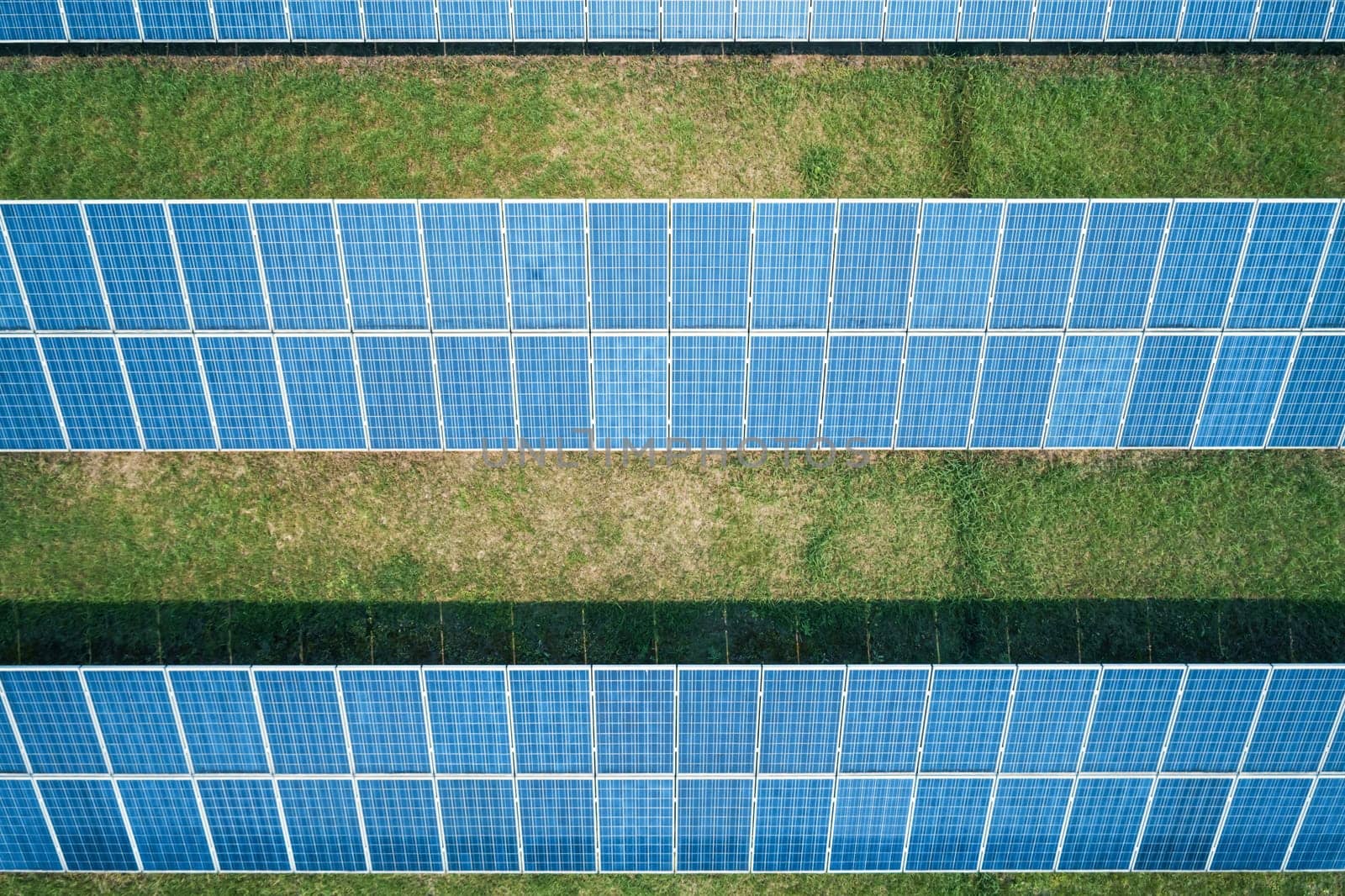 Aerial top down shot of solar panels farm on the green field. Renewable alternative green energy concept. by Busker