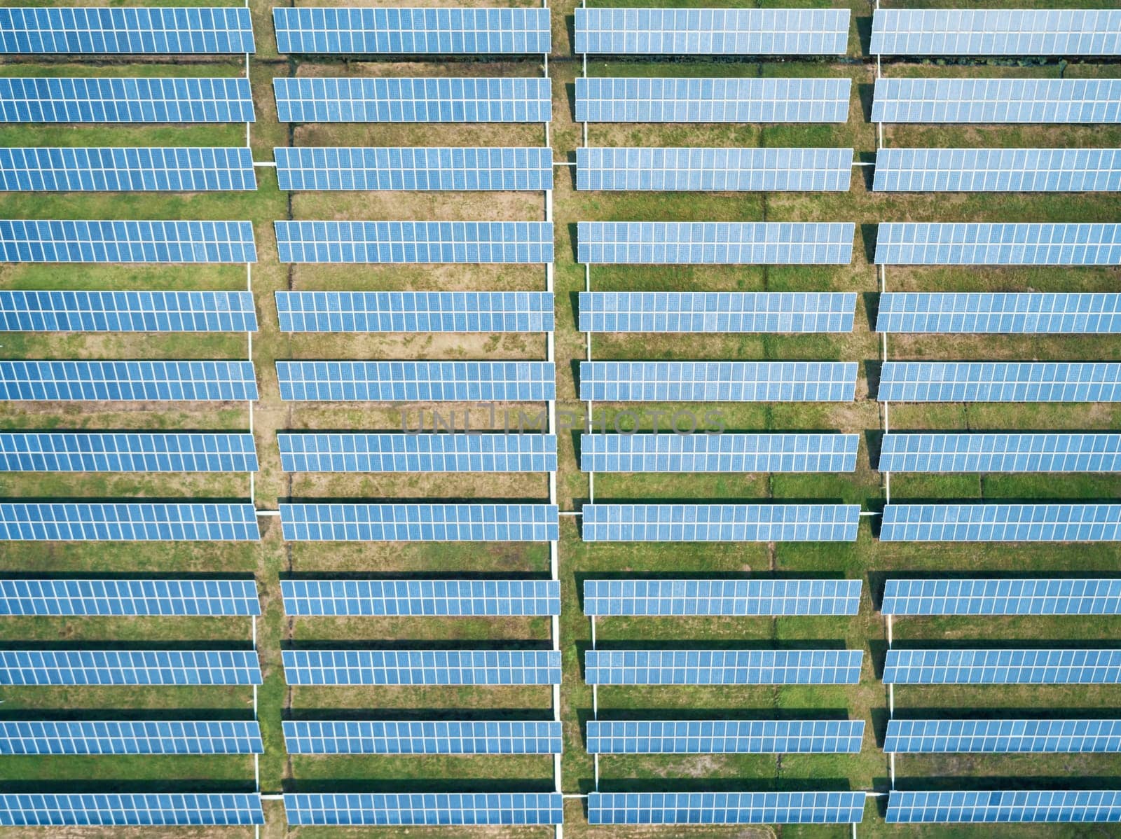 Aerial top down shot of solar panels farm on the green field. Renewable alternative green energy concept. by Busker