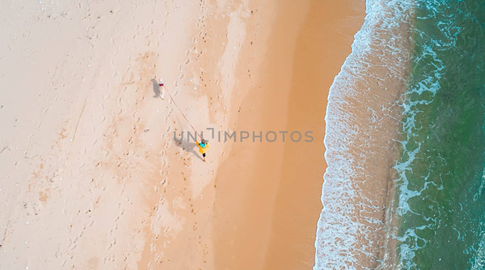 Aerial high angle shot of young woman walking with the dog along the seaside. Stunning seascape.