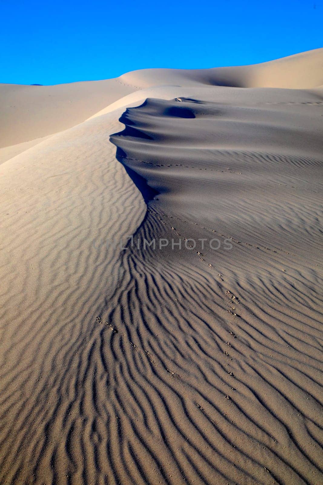Eureka Dunes at Death Valley National Park are amongst the highest in North America