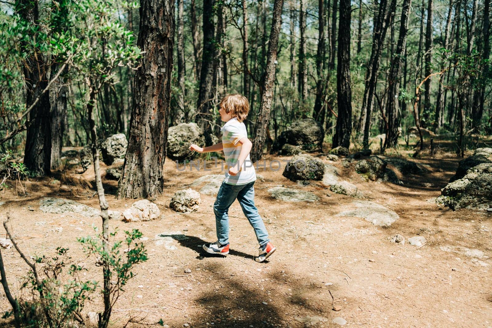 Tourist school boy kid child in a casual clothing walking in the summer greenwood leaf forest with rocky boulders stones all around the place. by Ostanina