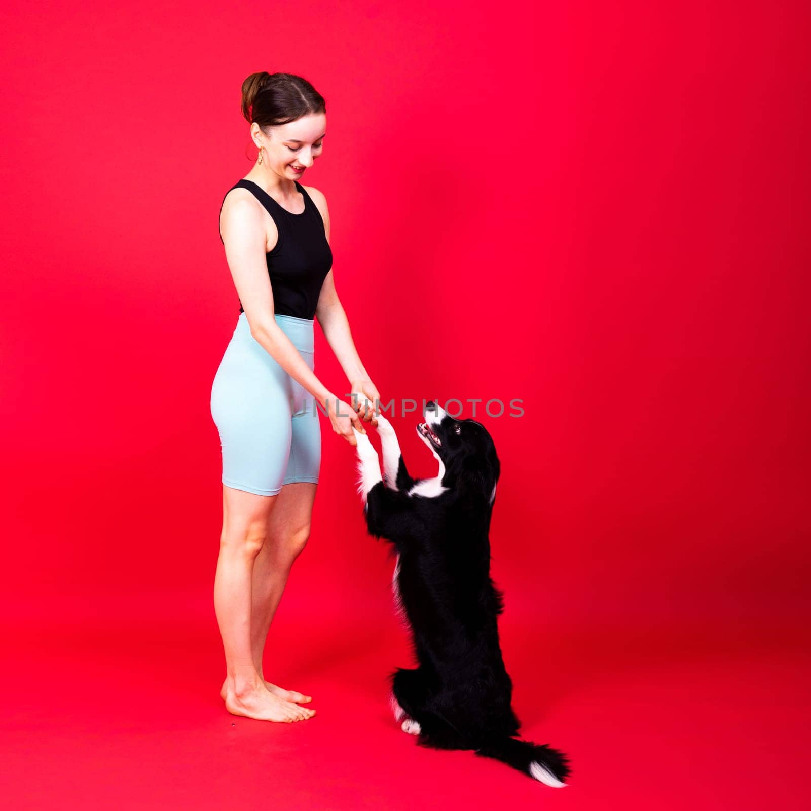 Caucasian woman training border collie dog. Concept of relationship between human and animal. by Zelenin