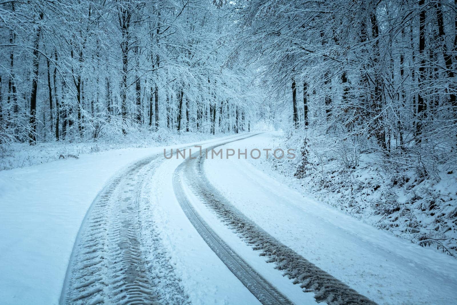 Wheel tracks on a snow-covered road in the winter forest