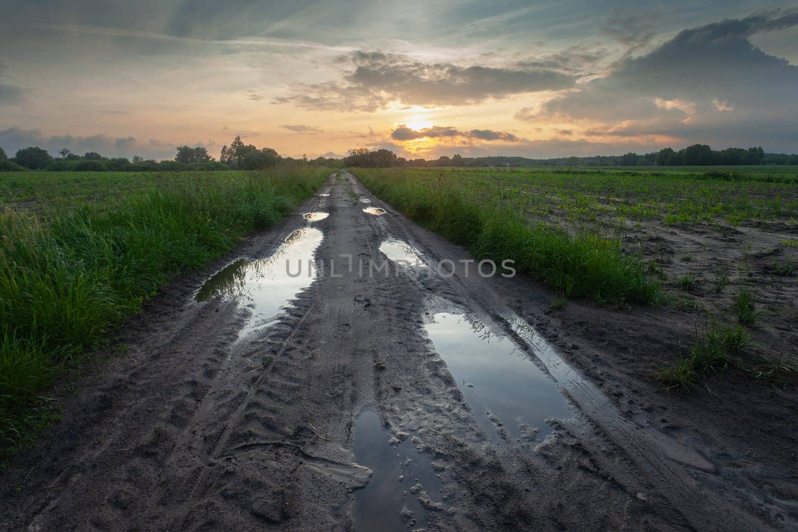 Wet dirt road with puddles between farmland and cloudy sunset, eastern Poland