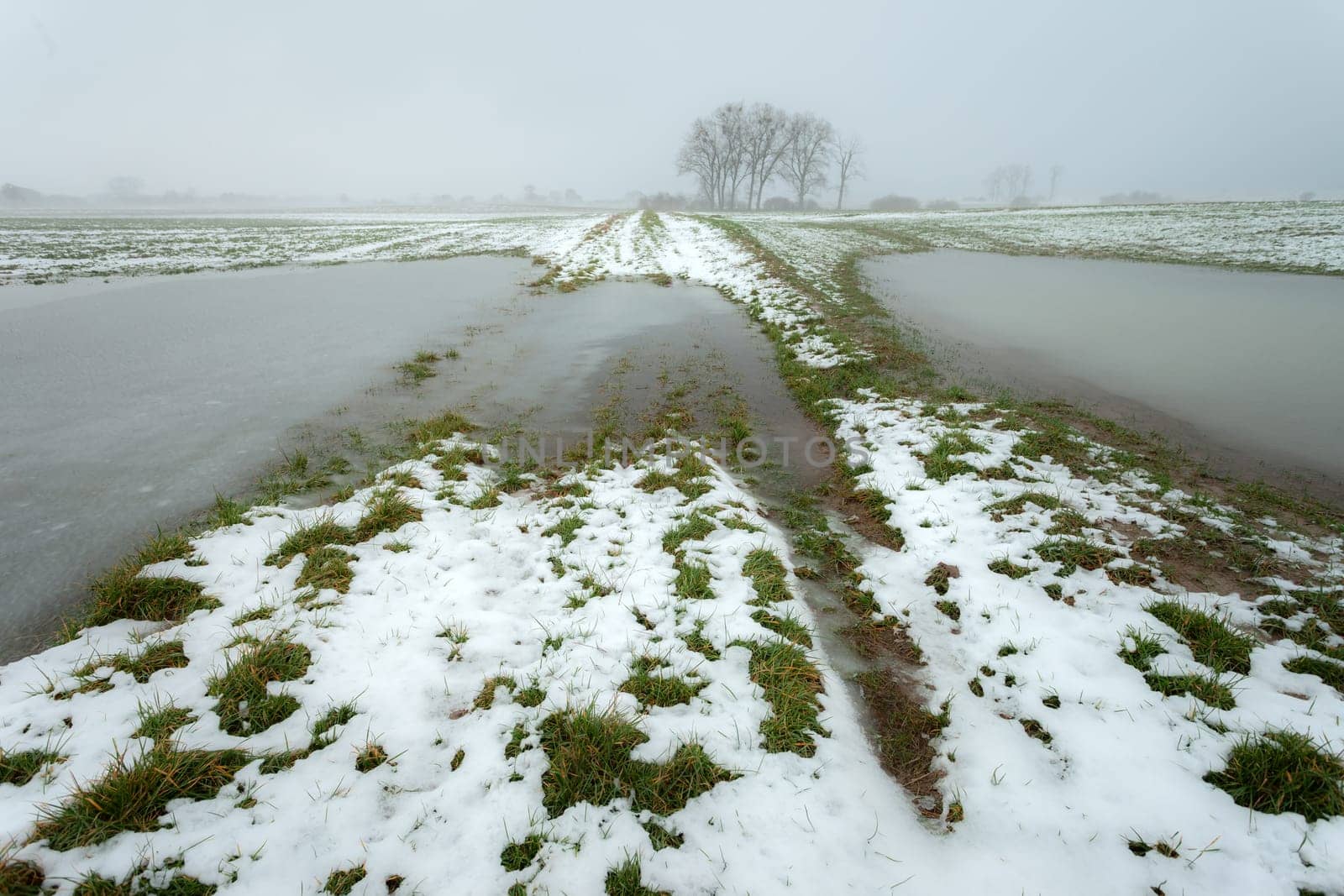 Little snow and frozen water in a farmland, view on a foggy January day by darekb22