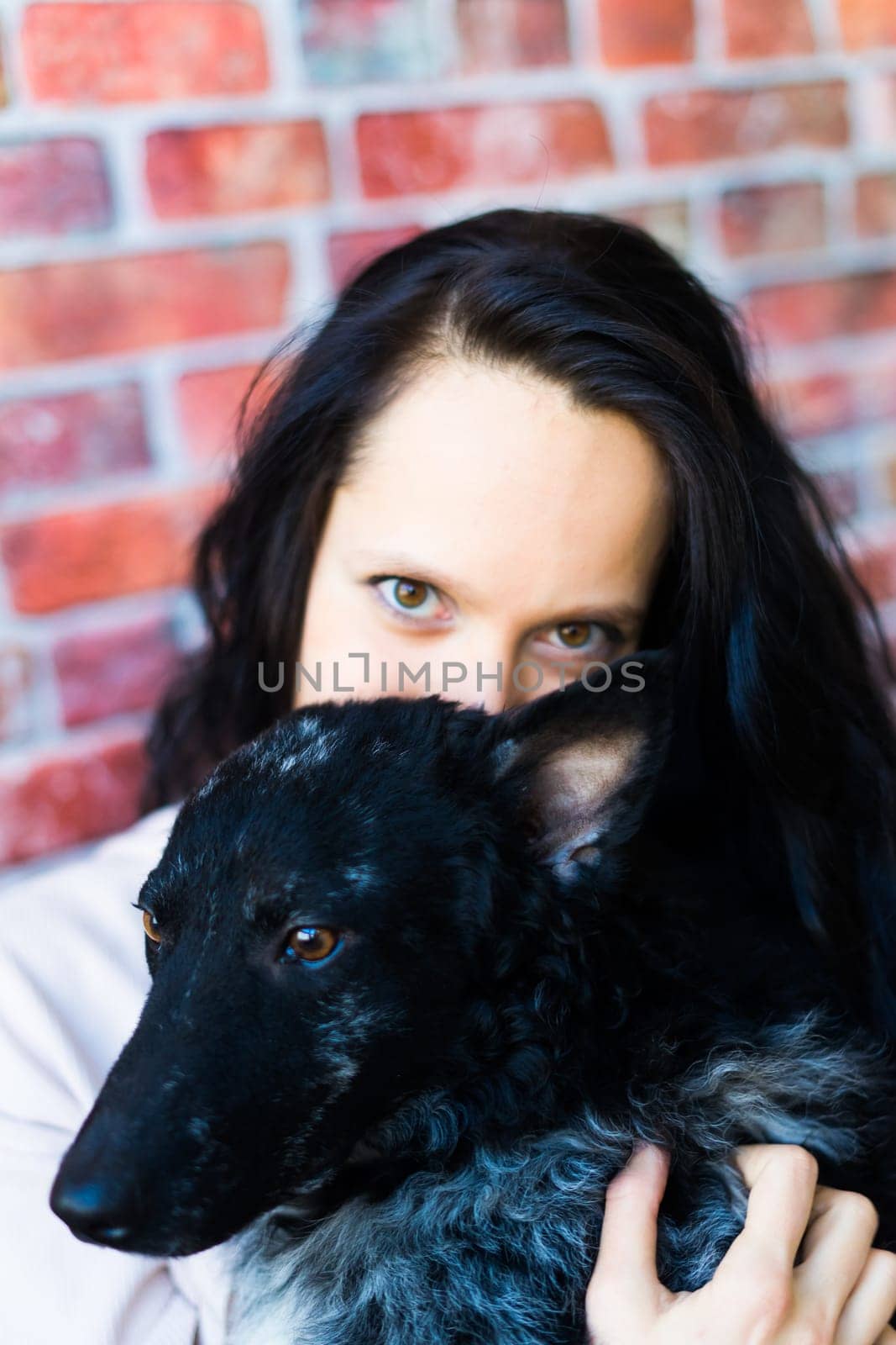 Happy lady in casual wear hugging purebred pet dog, mudi with owner over studio background. by Zelenin