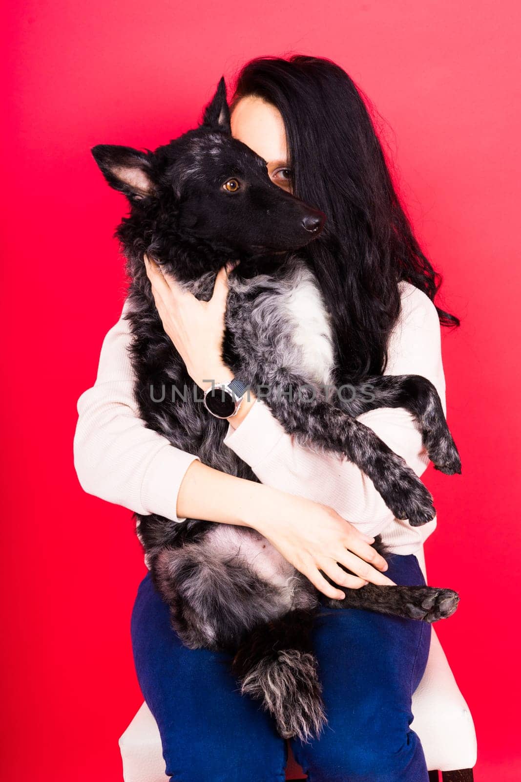 Happy lady in casual wear hugging purebred pet dog, mudi with owner over studio background. by Zelenin