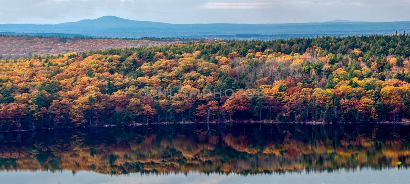 Fall colors have arrived at Acadia National Park, Maine