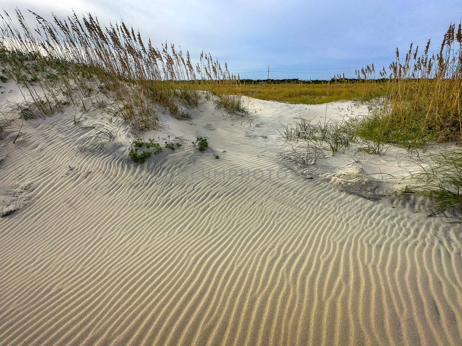 Ripples in the Sand Dunes at Cape Hatteras National Seashore, North Carolina