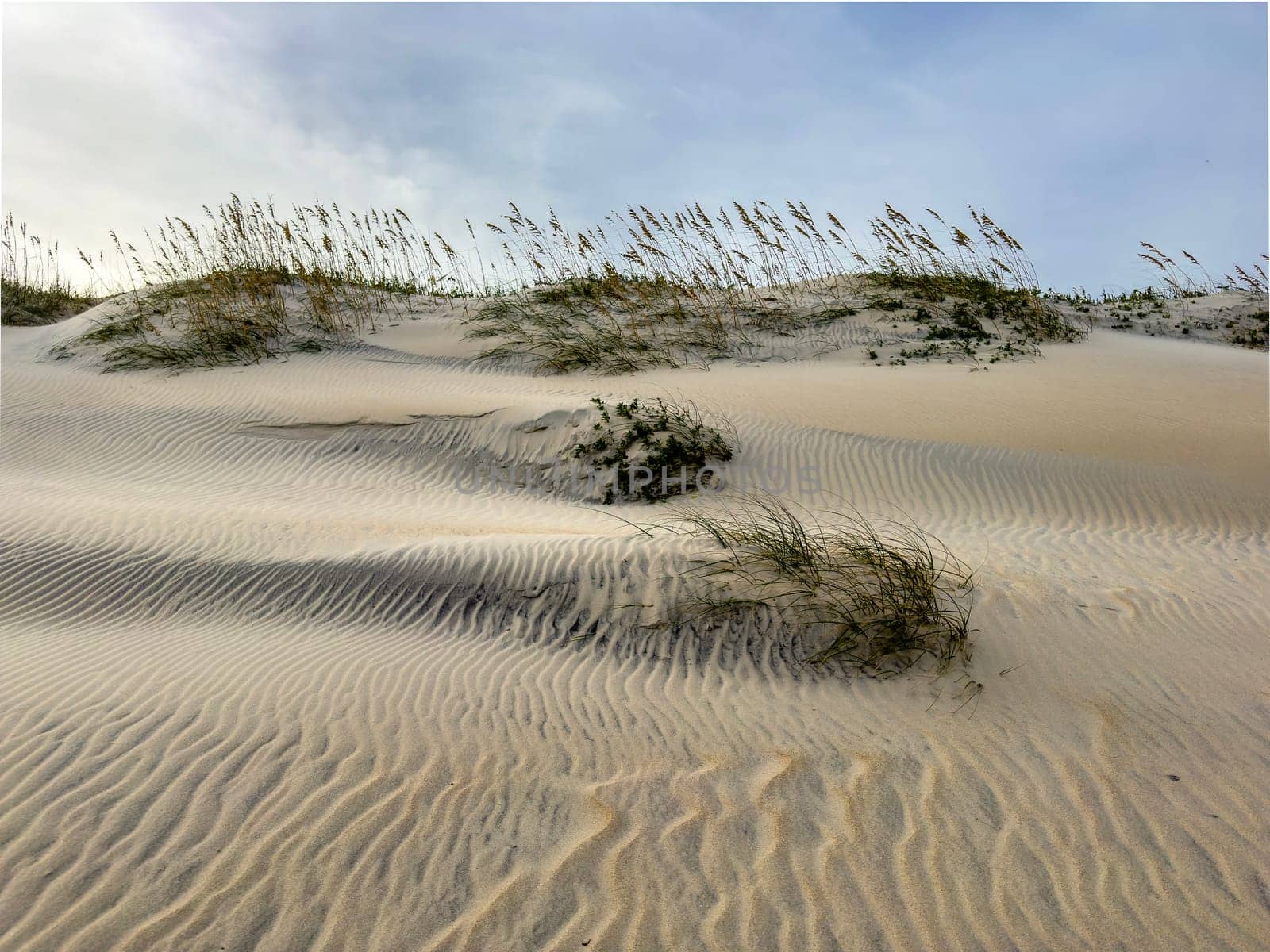 Ripples in the Sand Dunes at Cape Hatteras National Seashore, North Carolina