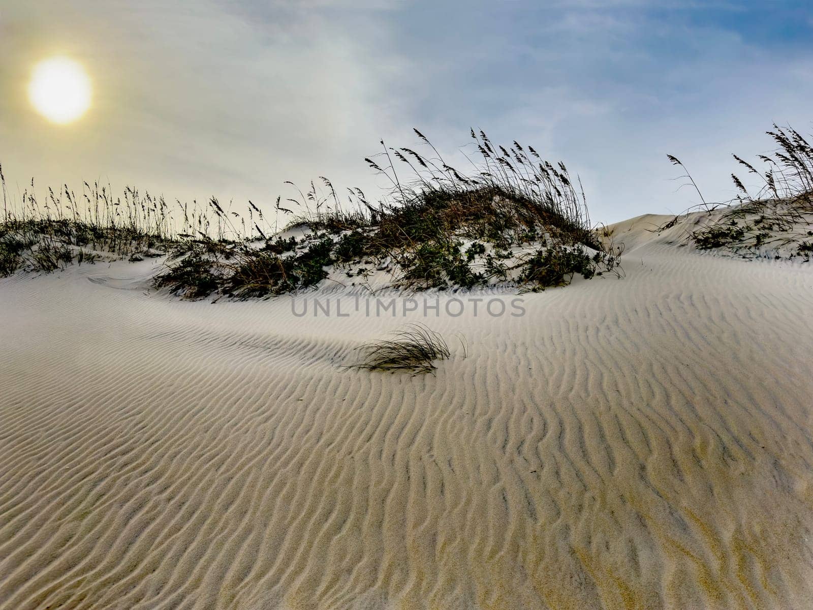 Ripples in the Sand Dunes at Cape Hatteras National Seashore, North Carolina