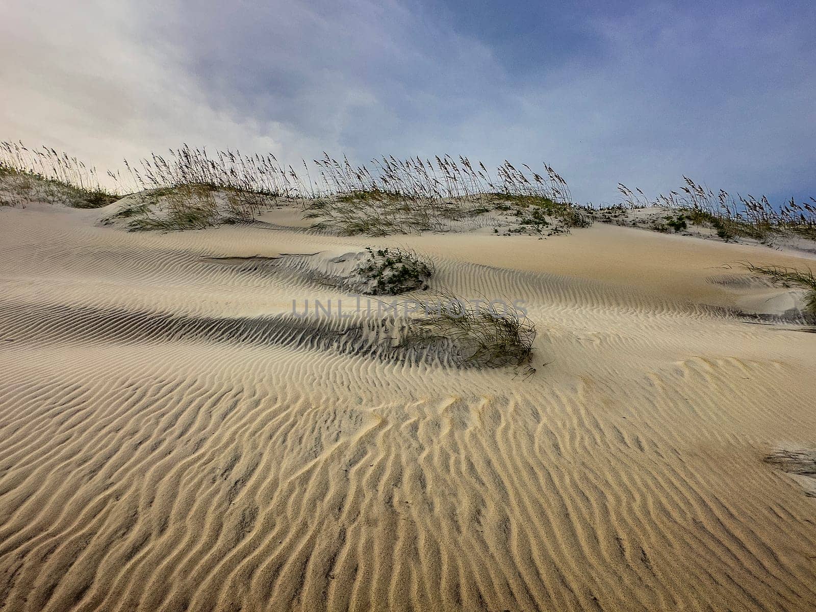 Ripples in the Sand Dunes at Cape Hatteras National Seashore, North Carolina