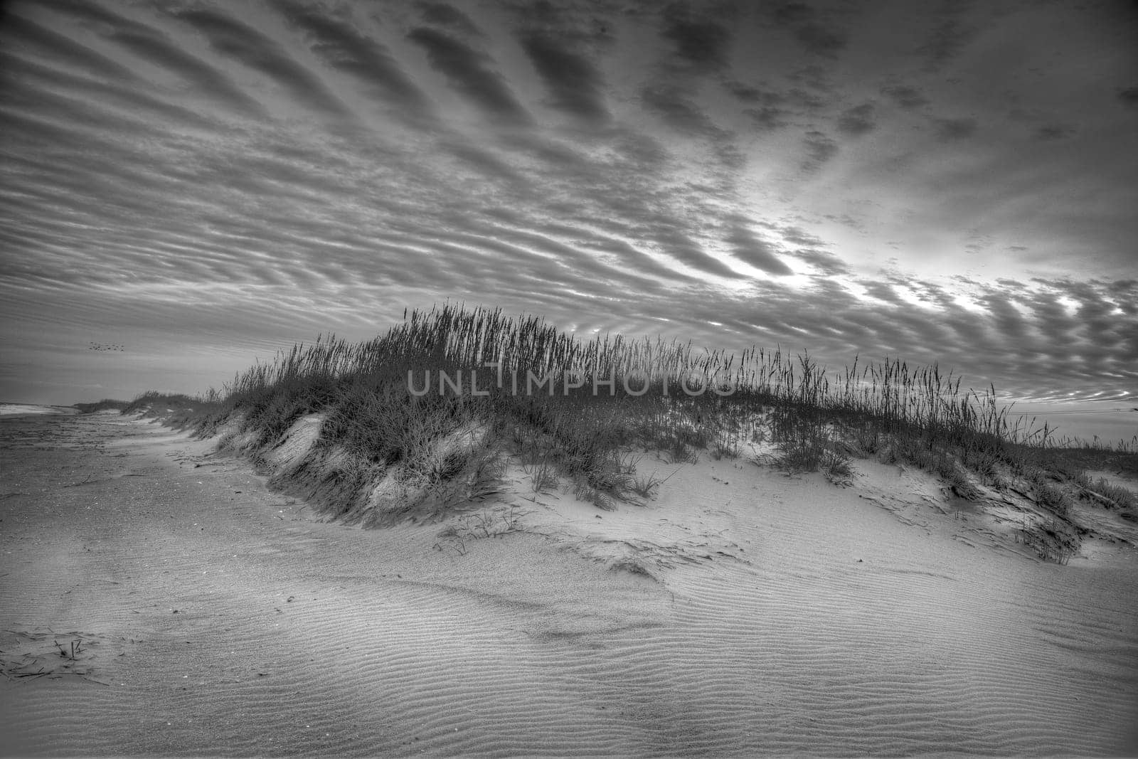 Sand Dunes and Ocean Waves make up the scene at Cape Hatteras National Seashore, North Carolina