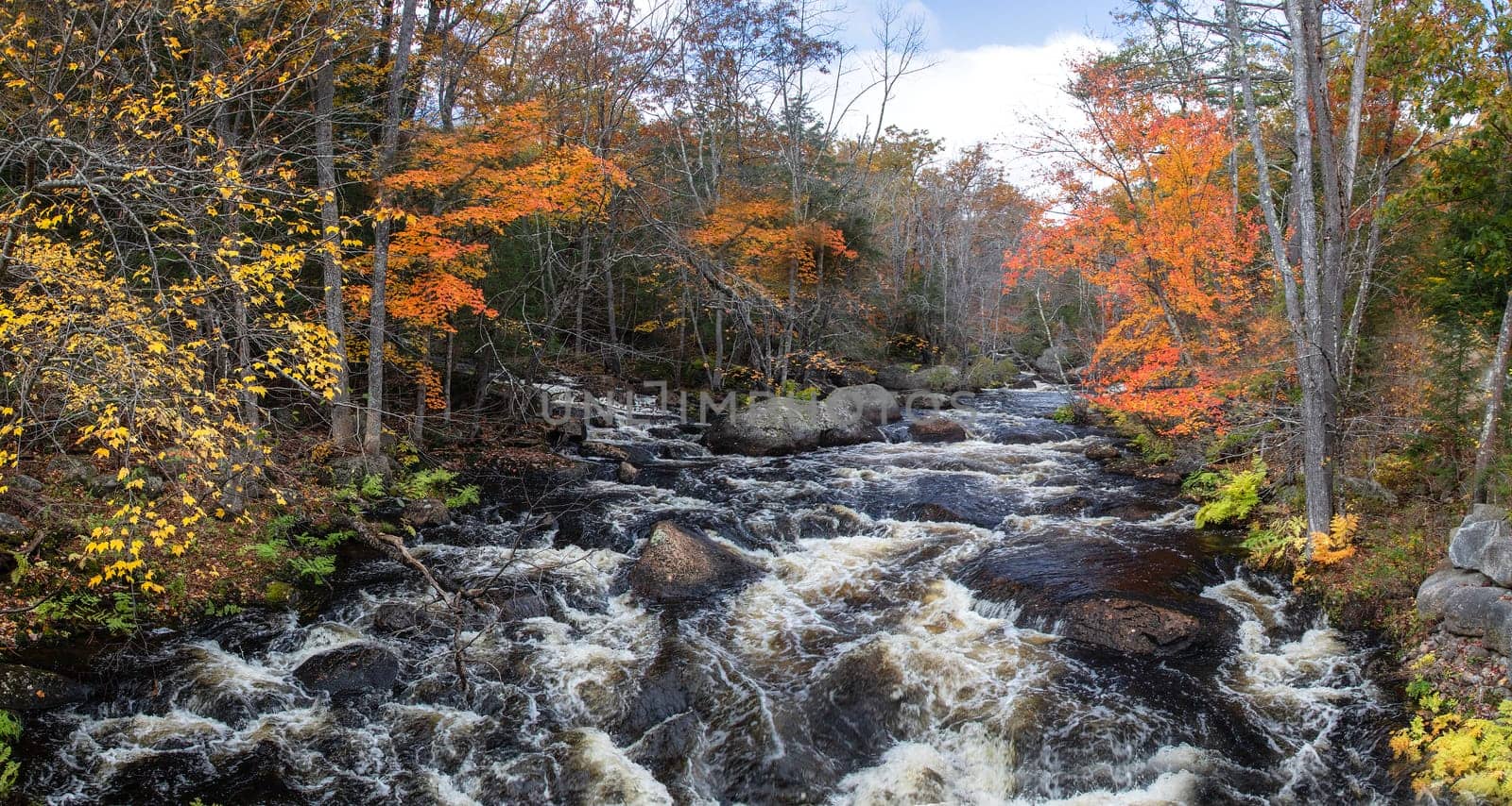 Fall colors have arrived along the North Branch River  near Hillsboro, New Hampshire