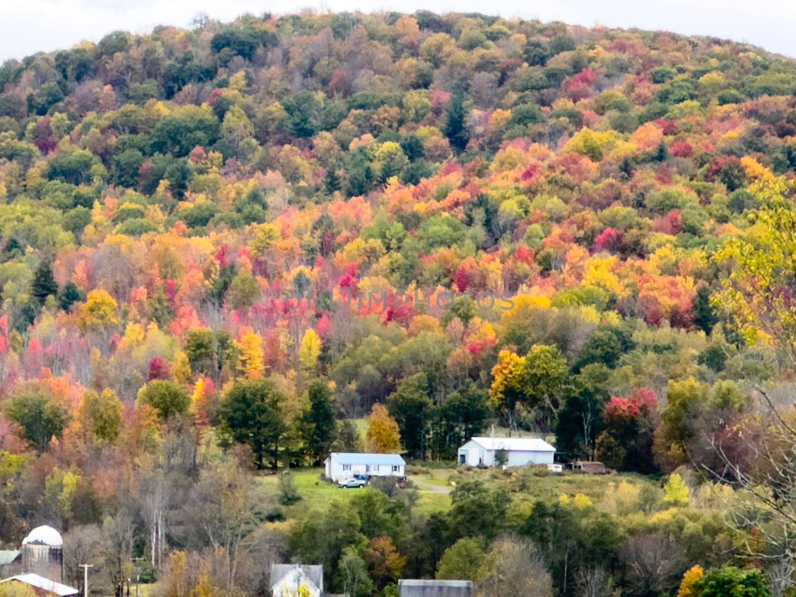 Fall colors have arrived in the countryside of a driveway in upstate New York