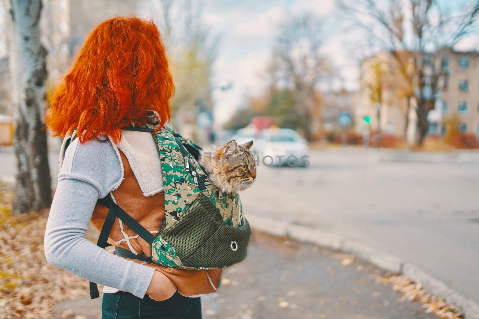 Tabby cat in a bag. Woman carrying his cat in a green backpack.
