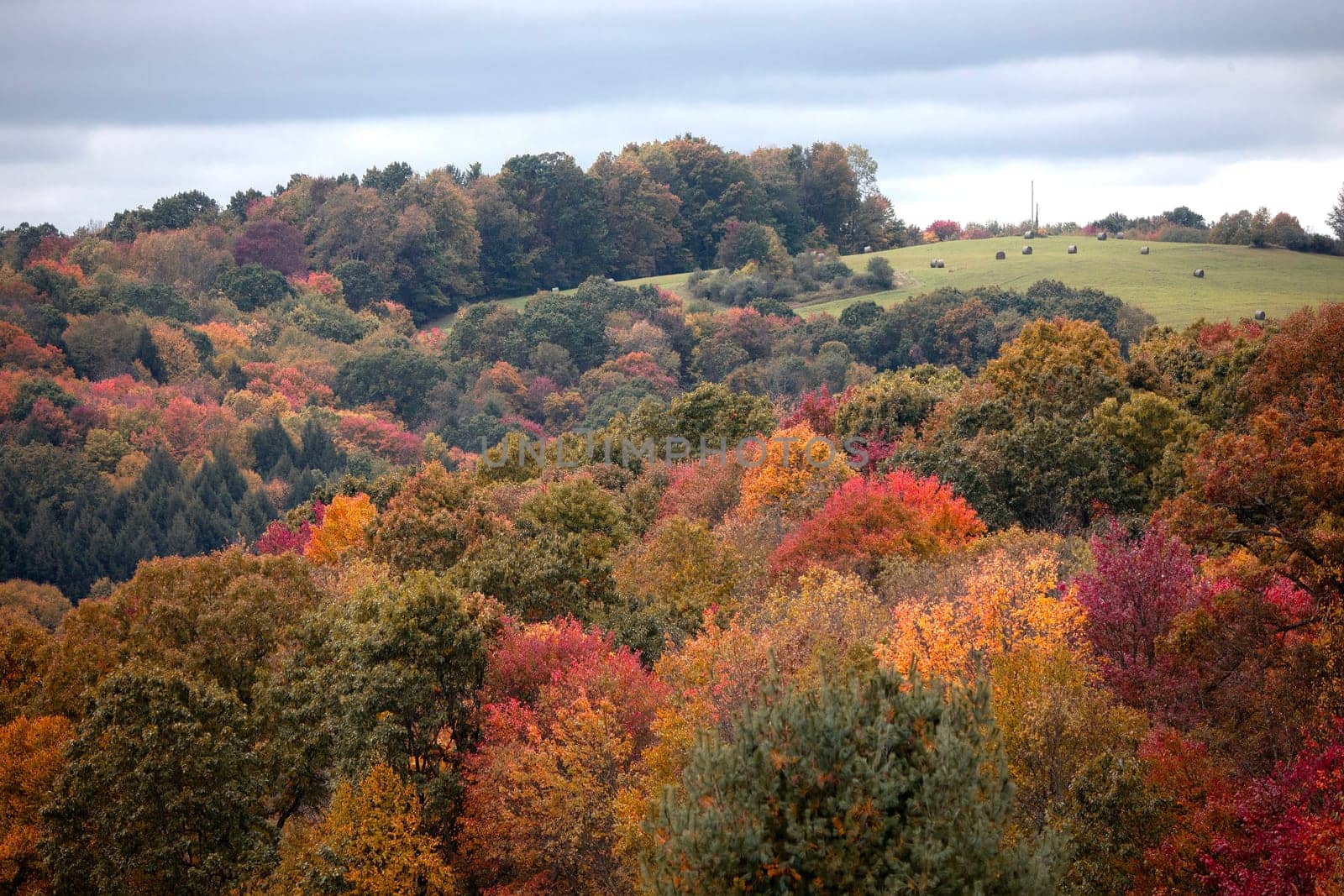 Fall colors have arrived to rural Pennsylvania