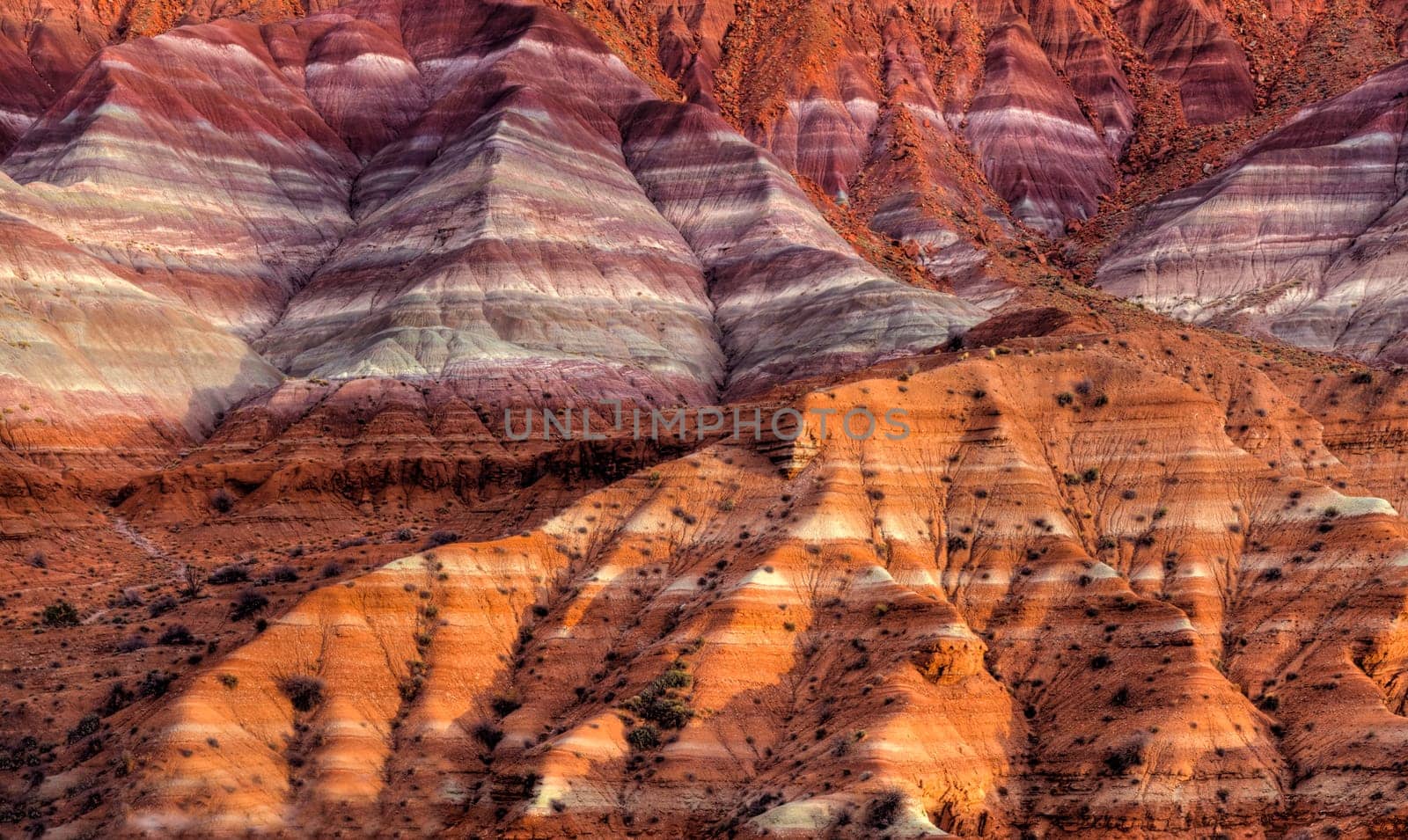 Colorful clay beds of the Chinle Formation are revealed due to erosion at the The Grand Staircase Escalante National Monument, Utah