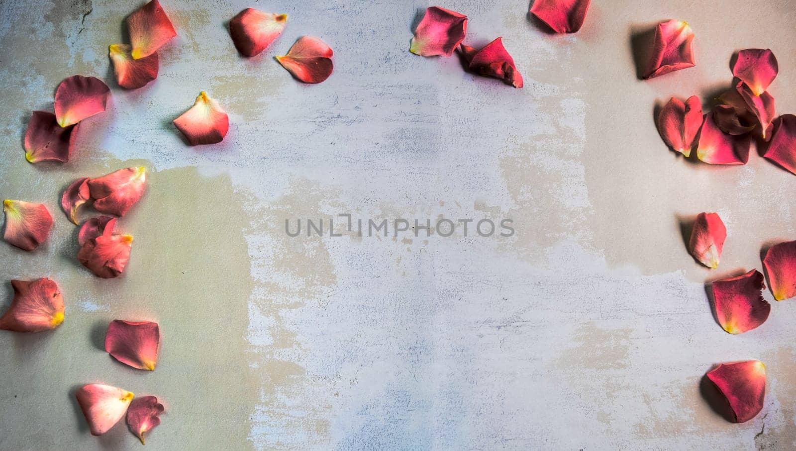 Top view of rose petals on multi-colored rough, textured surface with space for text