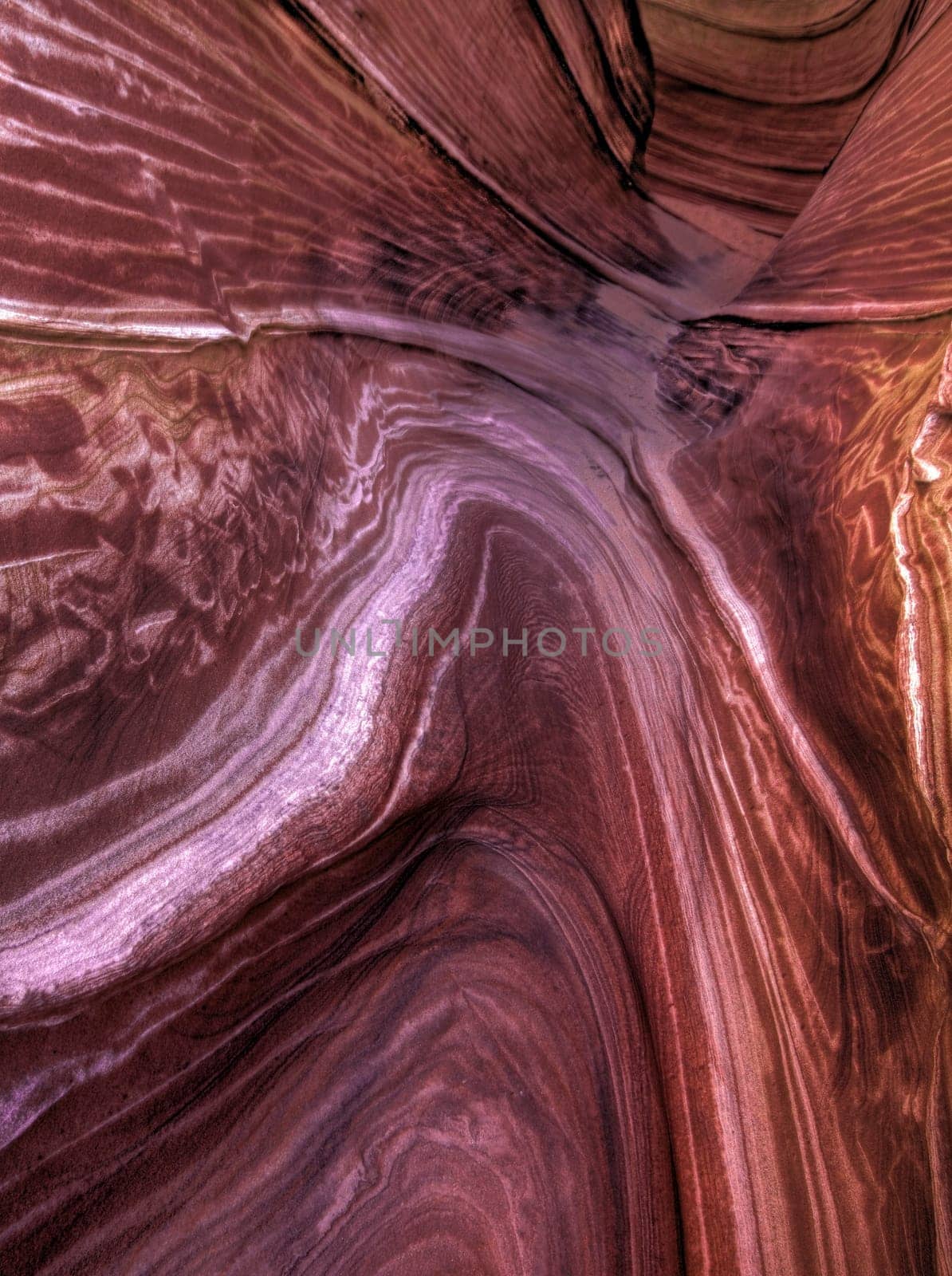 Erosion has created very unusual sandstone formations at The Wave at Coyote Buttes Arizona