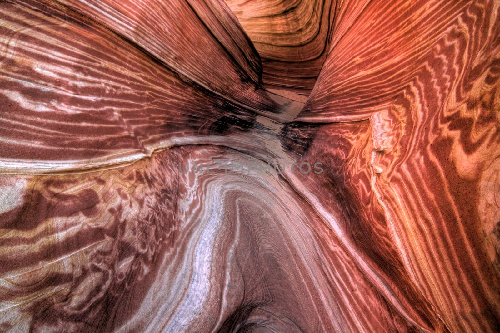 Erosion has created very unusual sandstone formations at The Wave at Coyote Buttes Arizona