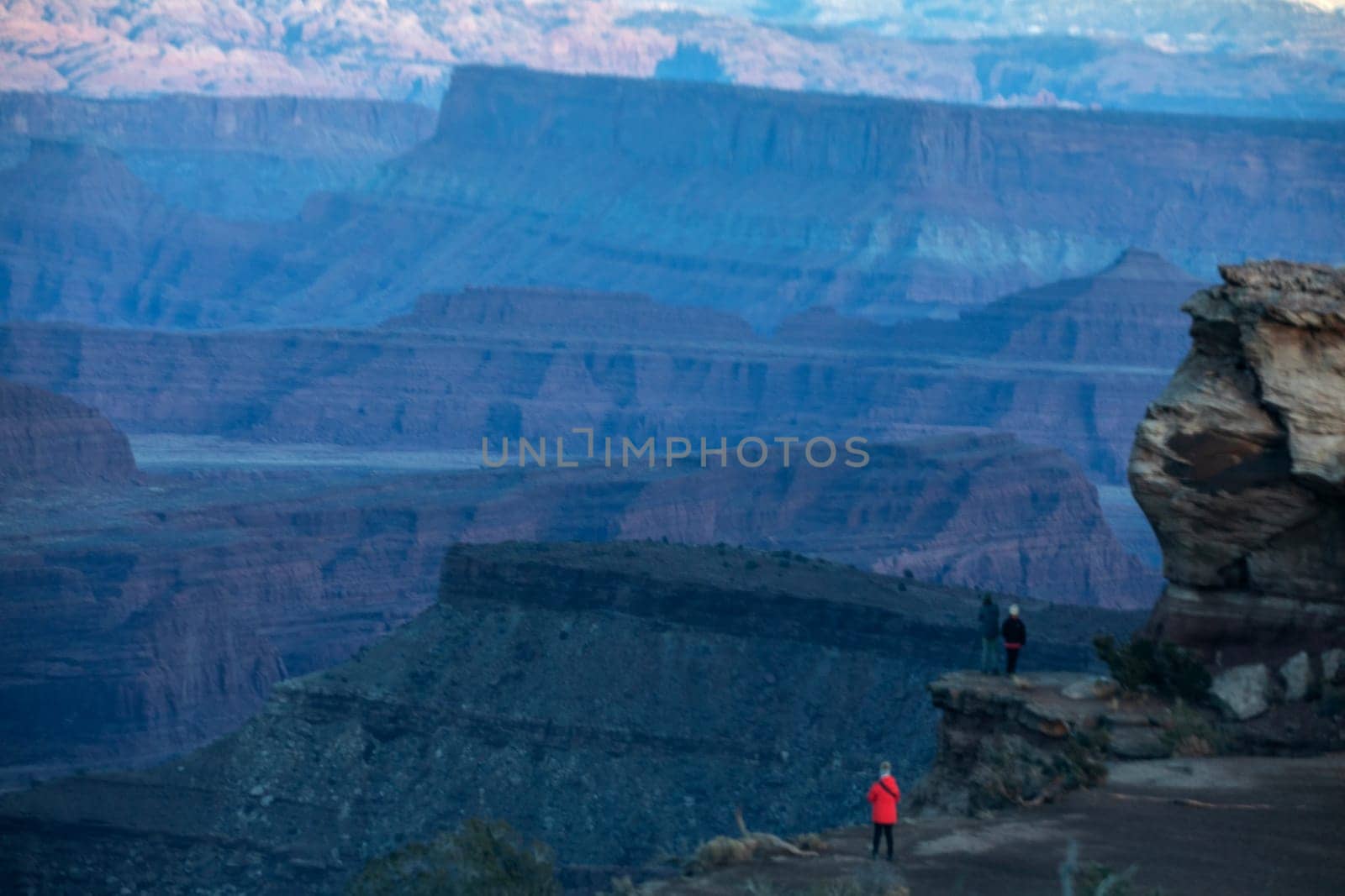 The Colorado River winds its way  through Canyonlands National Park .