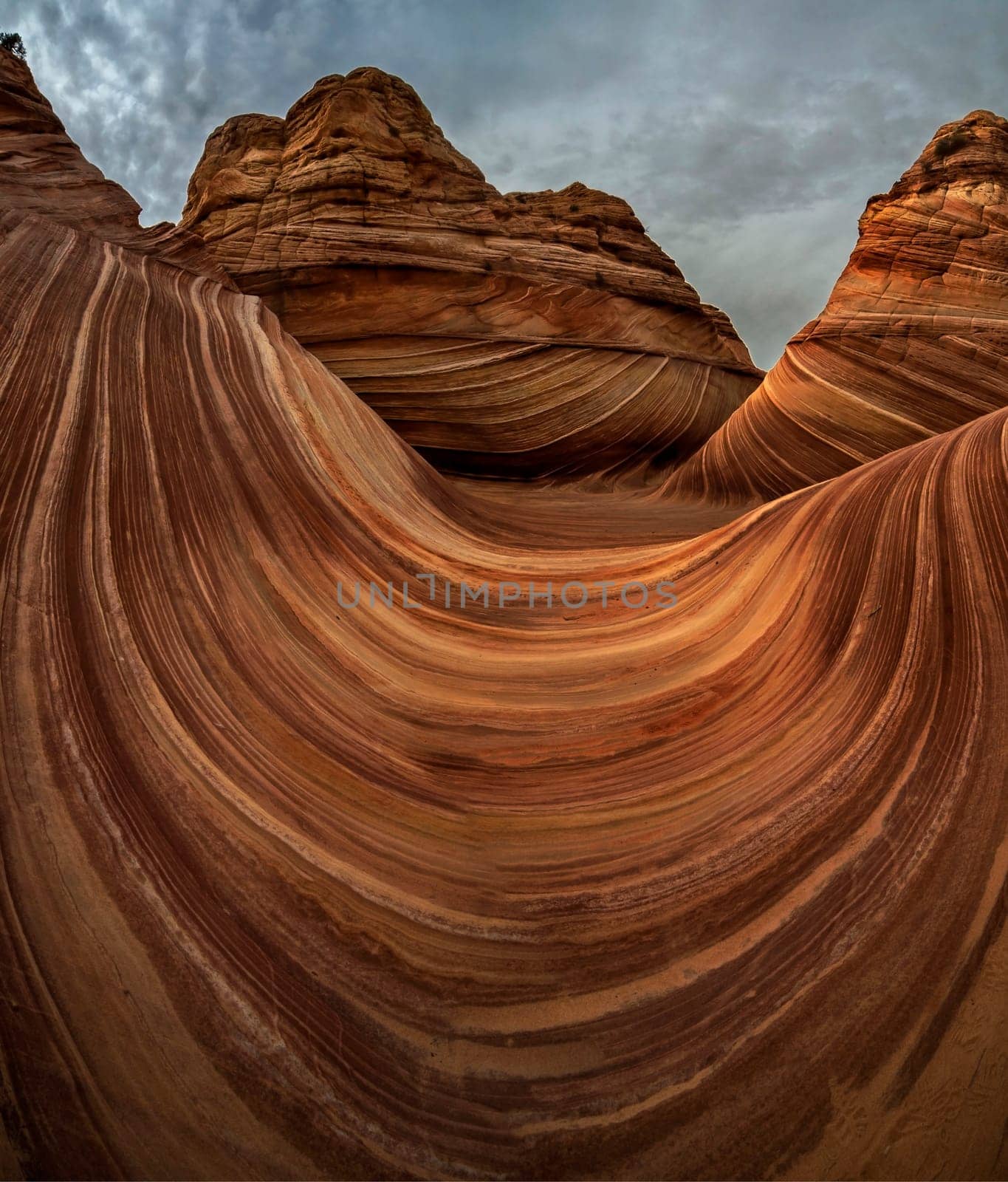 The Wave at Coyote Buttes North on the Utah/Arizona border