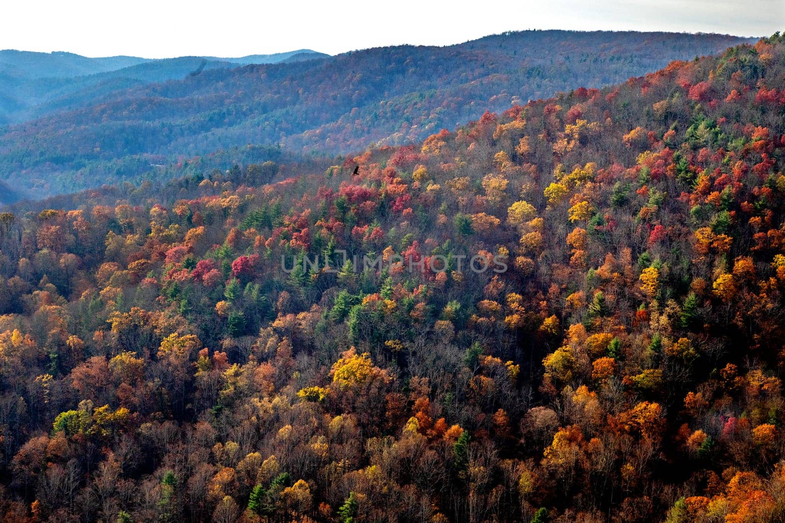 Fall colors have arrive along Virginia's Blue Ridge Parkway.