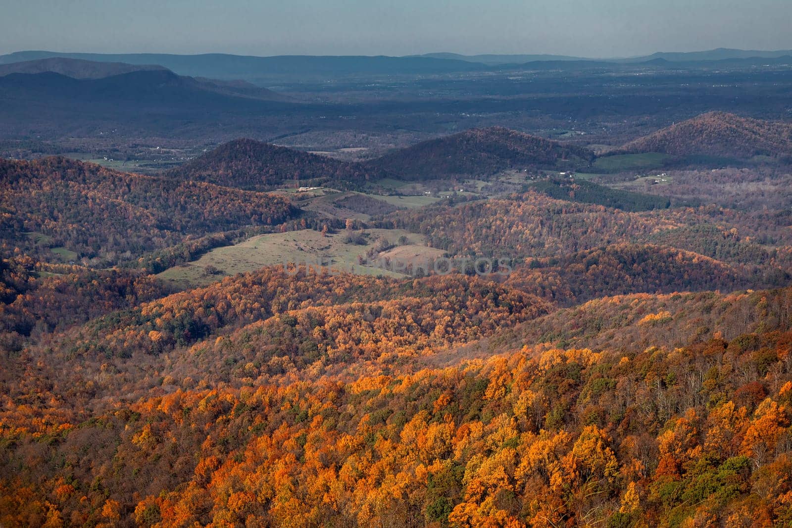 Fall colors have arrived to Virginia's Shenadoah National Park and the surrounding countryside.