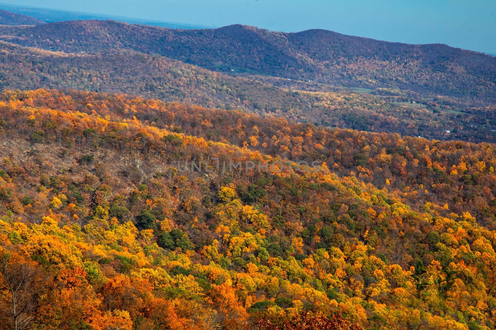 Fall colors have arrived to Virginia's Shenadoah National Park