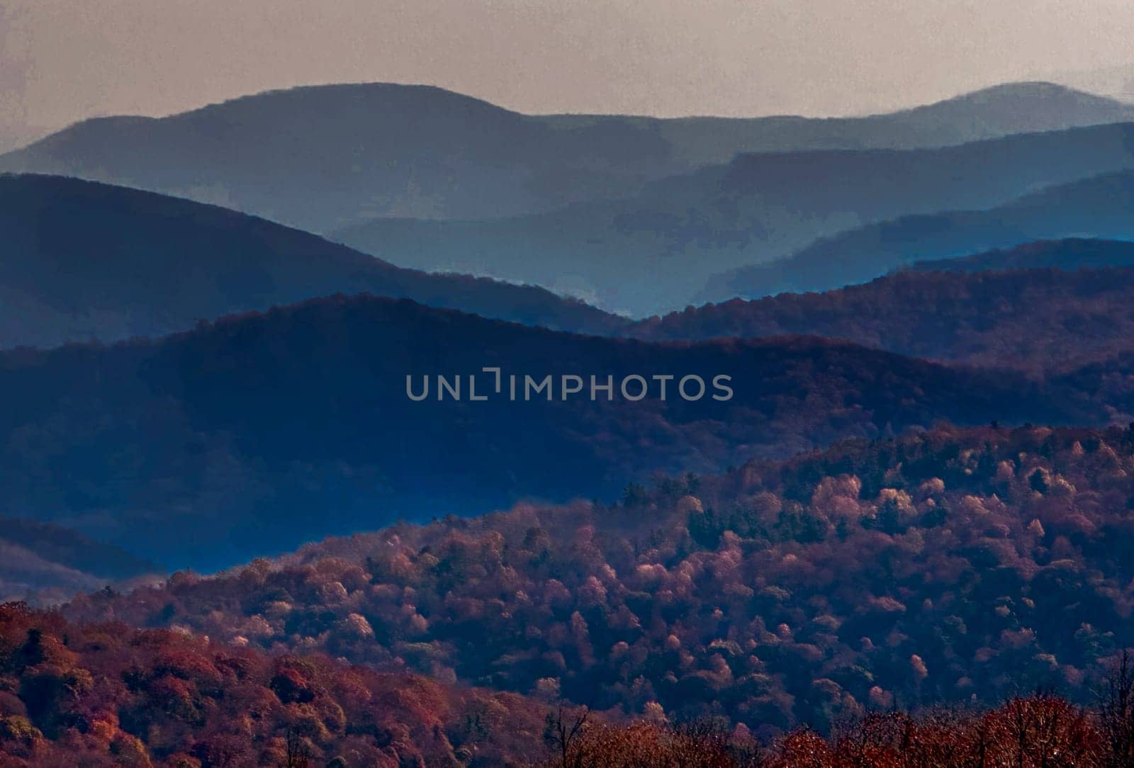 Fall colors, fog and smoke have arrived to Virginia's Shenadoah National Park and the surrounding countryside.