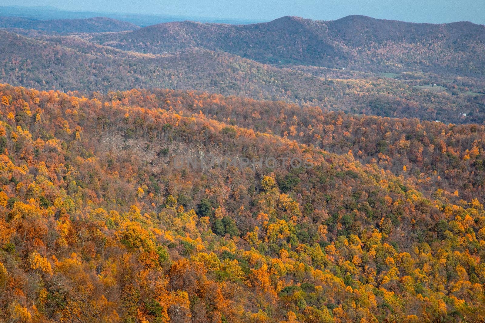 Fall colors have arrived to Virginia's Shenandoah National Park and the surrounding countryside.