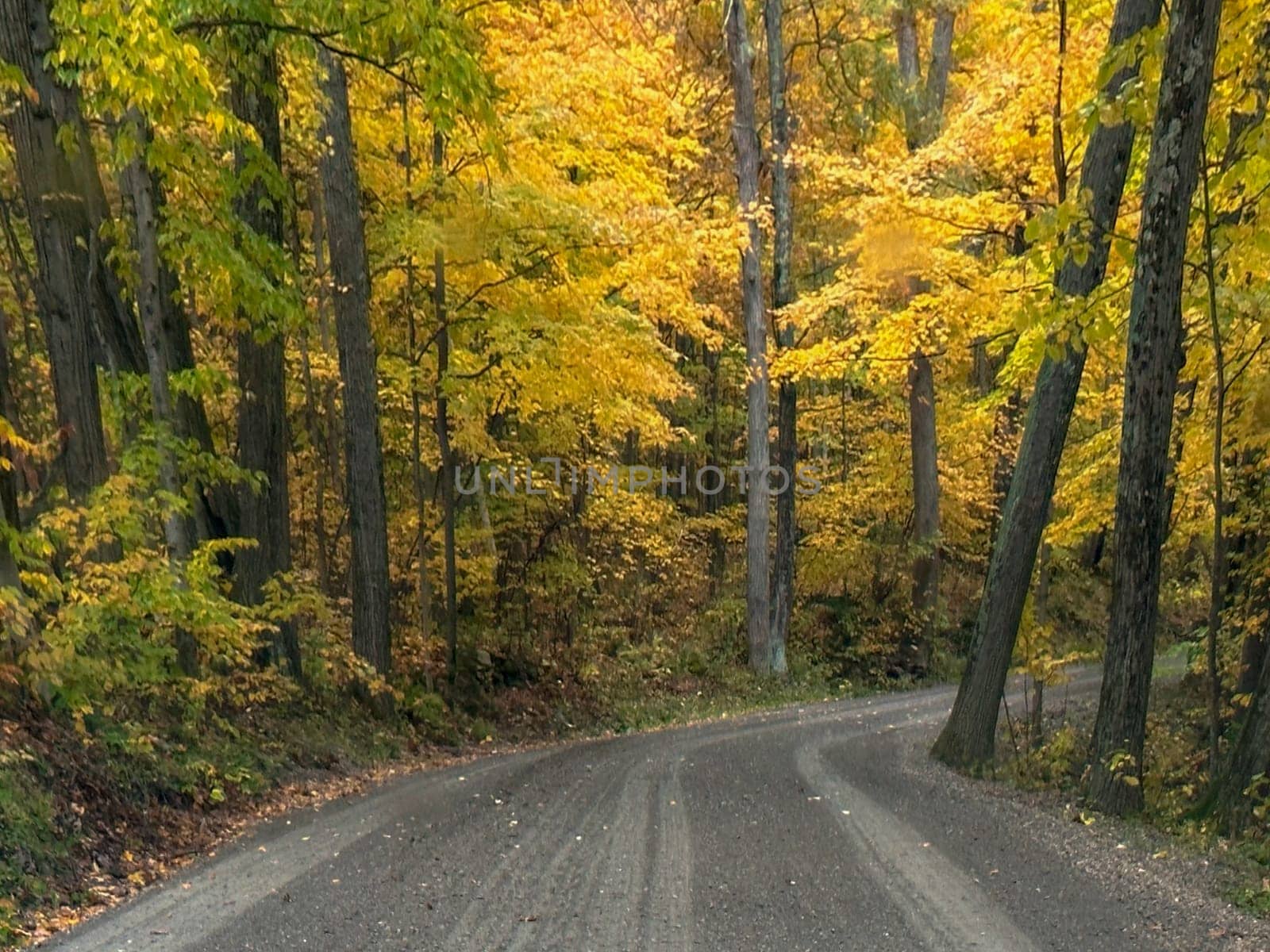 Fall colors have arrived to the Vermont countryside.