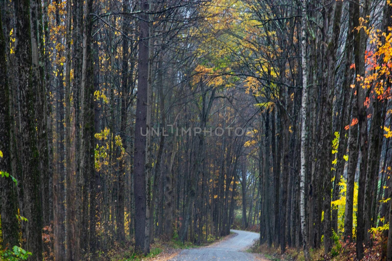 Fall colors have arrived in rural Vermont.