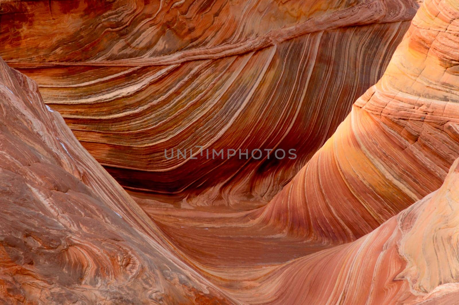 Unusual sandstone rock formation produced through erosion are the feature at The Wave at Coyote Buttes North  in the Vermilion Cliffs National Monument, Arizona