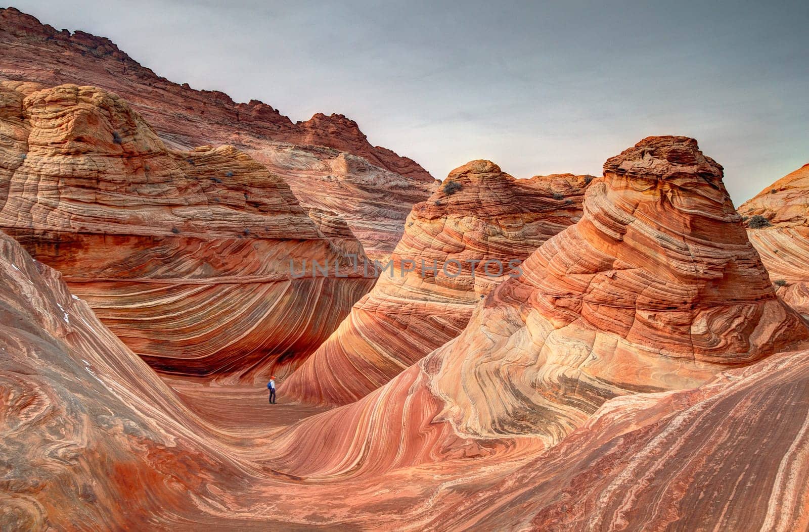 Unusual sandstone rock formation produced through erosion are the feature at The Wave at Coyote Buttes North  in the Vermilion Cliffs National Monument, Arizona