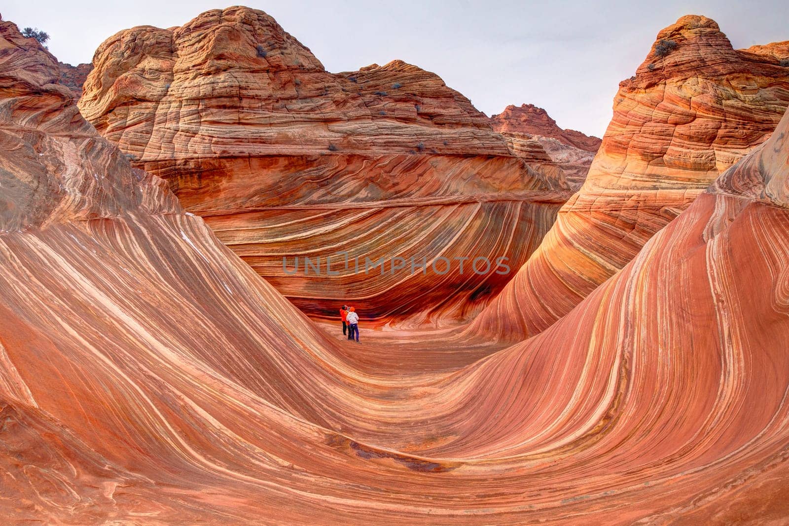 Unusual sandstone rock formation produced through erosion are the feature at The Wave at Coyote Buttes North  in the Vermilion Cliffs National Monument, Arizona