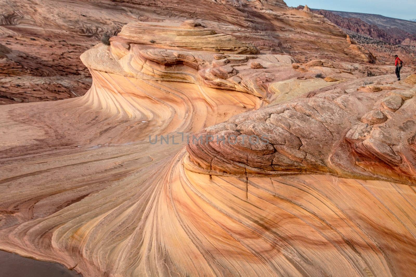 Unusual sandstone rock formation produced through erosion are the feature at The Wave at Coyote Buttes North  in the Vermilion Cliffs National Monument, Arizona