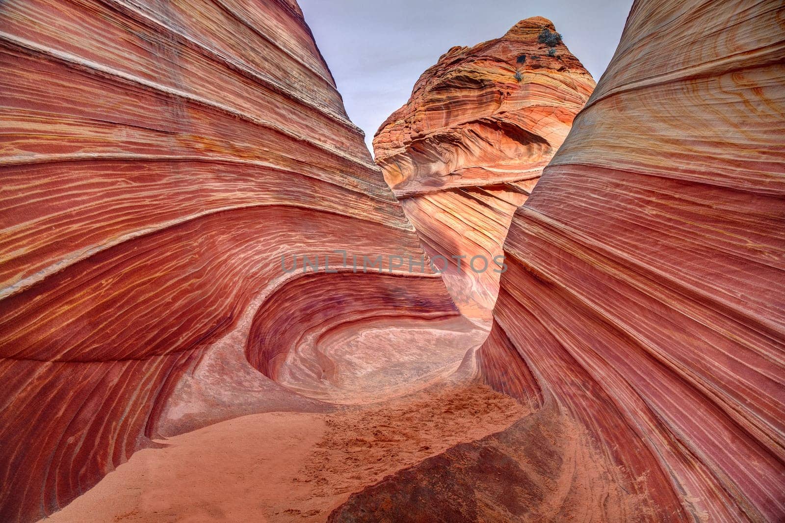 Unusual sandstone rock formation produced through erosion are the feature at The Wave at Coyote Buttes North  in the Vermilion Cliffs National Monument, Arizona