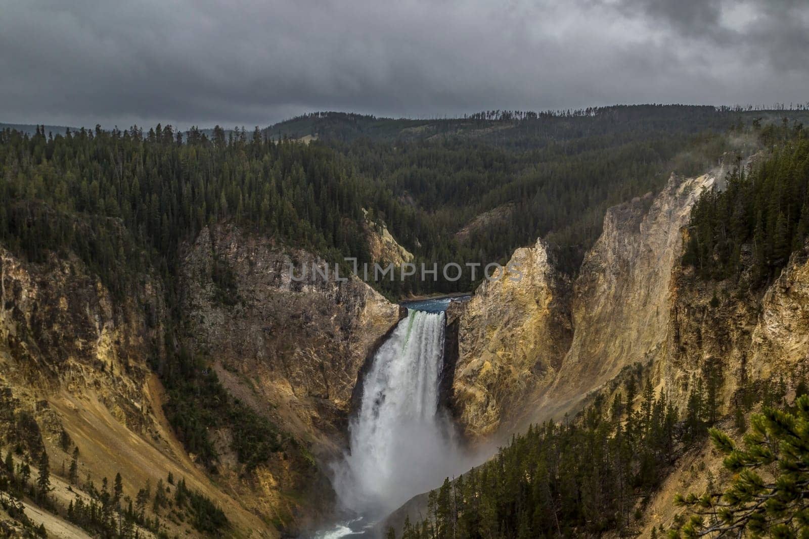 The Lower Falls Of The Yellowstone River