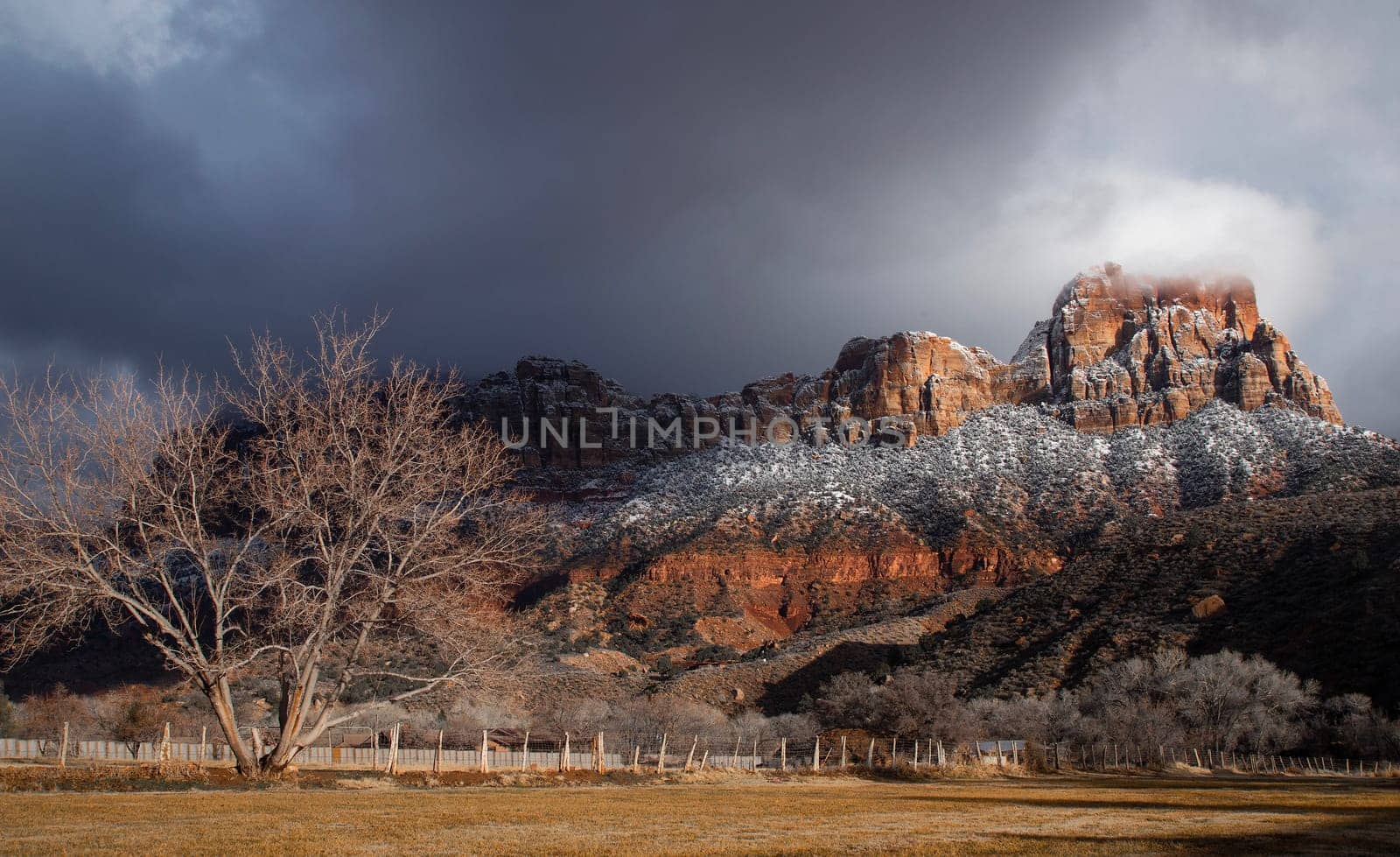 Fresh snow has fallen in Zion Canyon at at Zion National Park, Utah