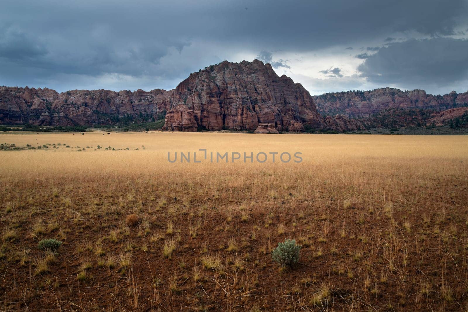 Stormy Zion  by Dawn2Dawn