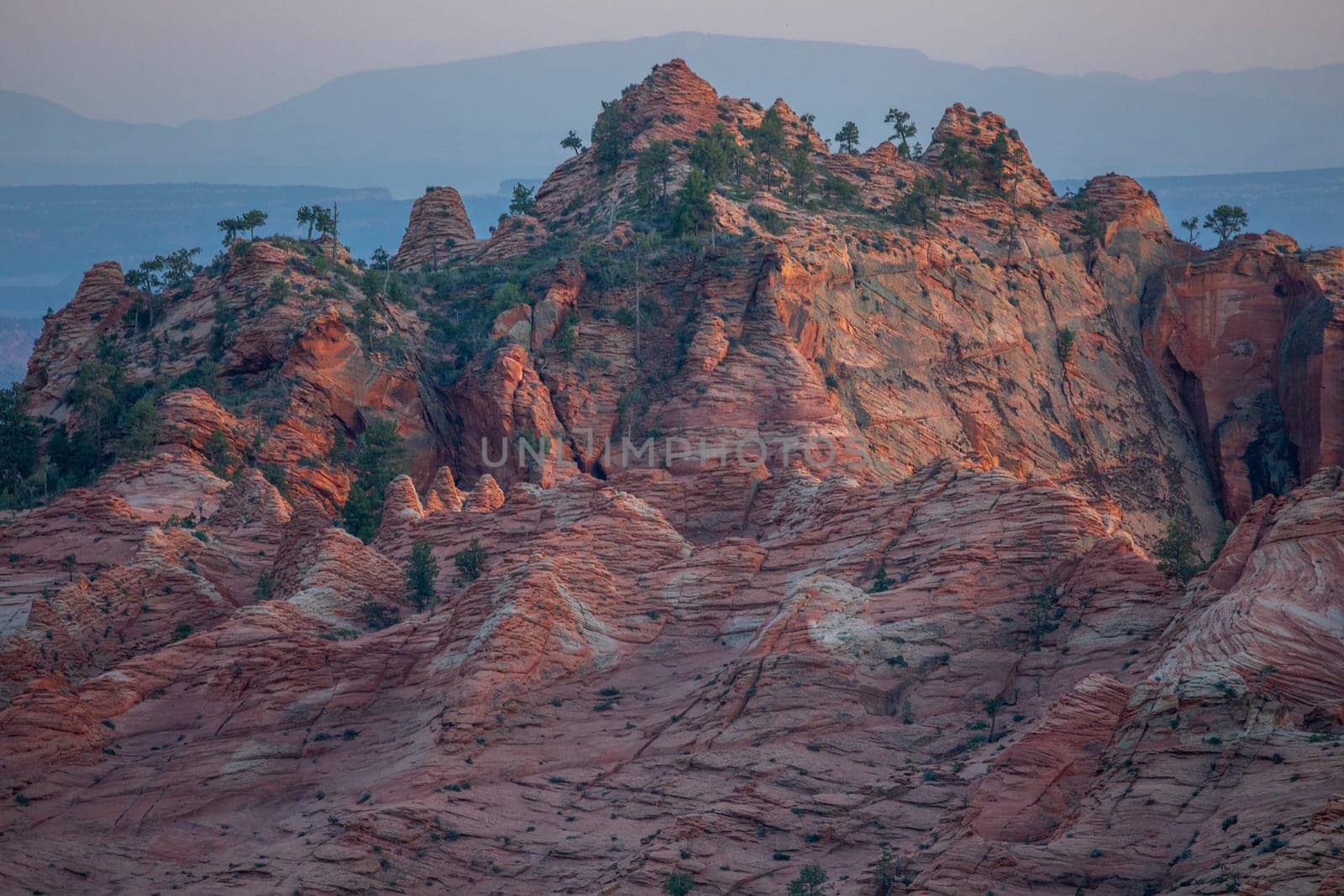 Light from the setting sun is cast upon sandstone rock formations at Zion Natioanl Park’s Kolob Terrace section