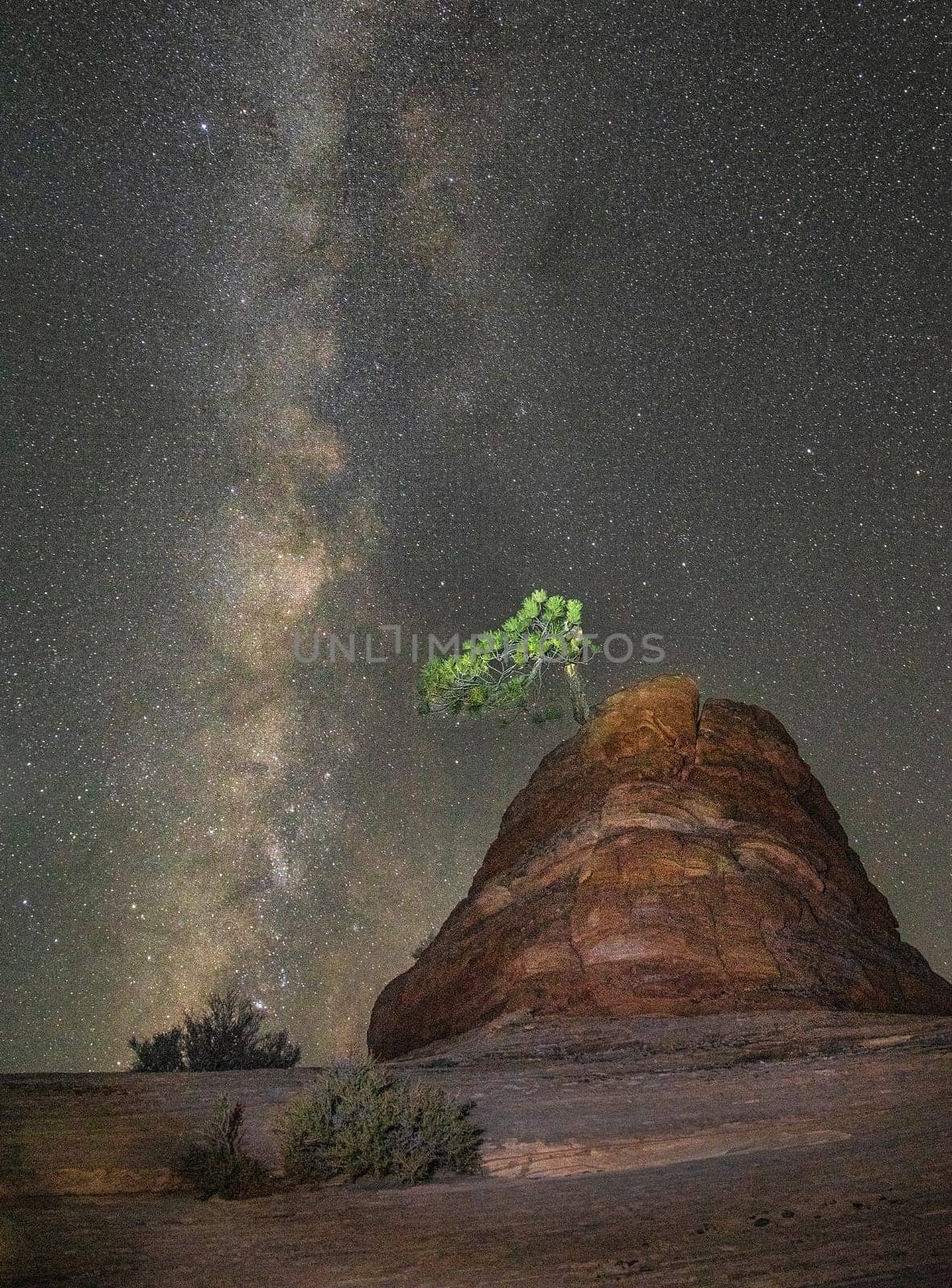 Zion Milky Way by Dawn2Dawn