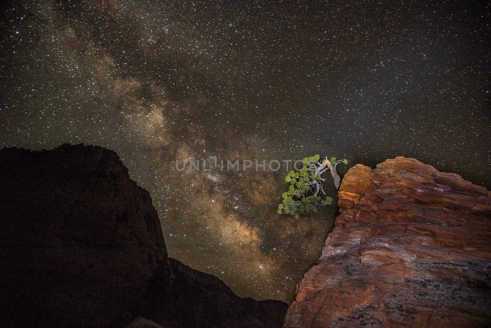 The Milky Way appears behind the "Bonsai Tree" at Zion National Park, Utah