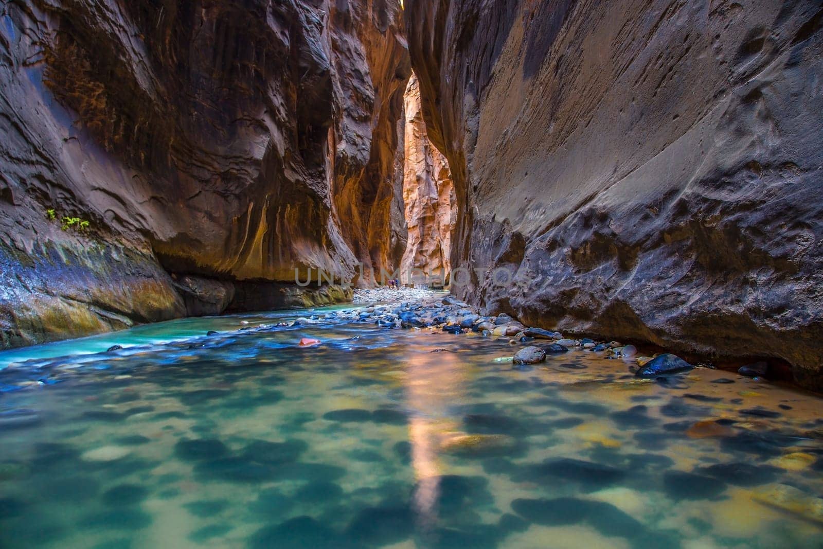 The Virgin River carves its way through The Narrows at Zion National Park, Utah