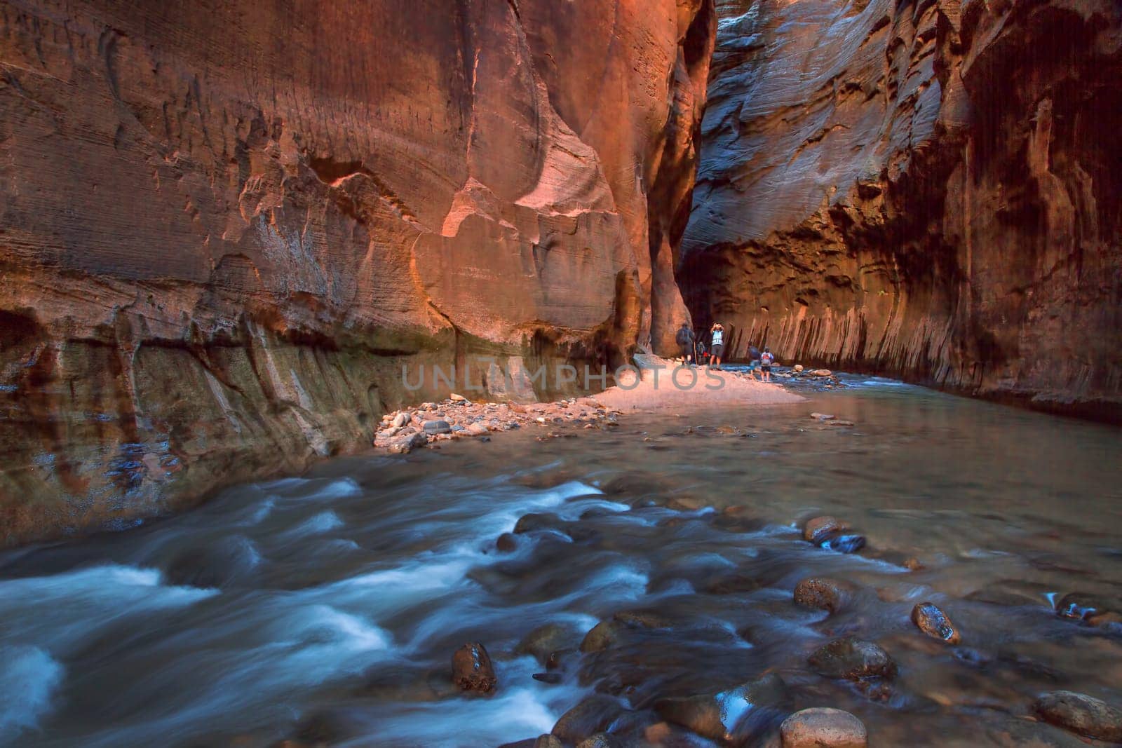 The Virgin River cuts through The Narrows at Zion National Park, Utah