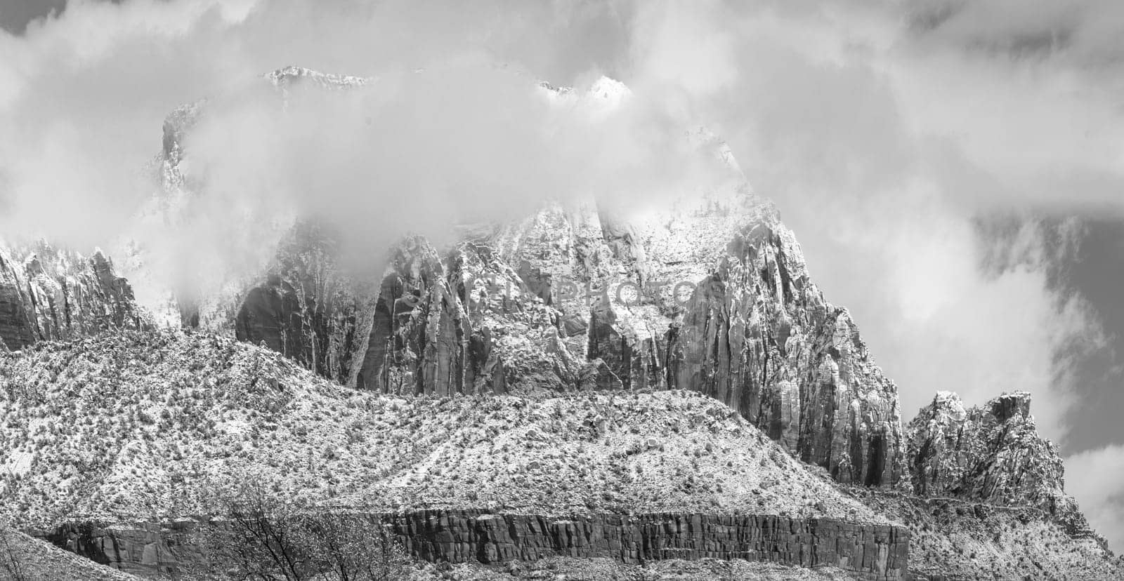 Fresh snow has fallen in Zion Canyon at at Zion National Park, Utah