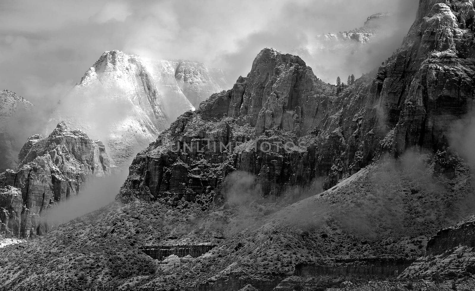 A blanket of fresh snow highlights the winter landscape at Zion National Park, Utah